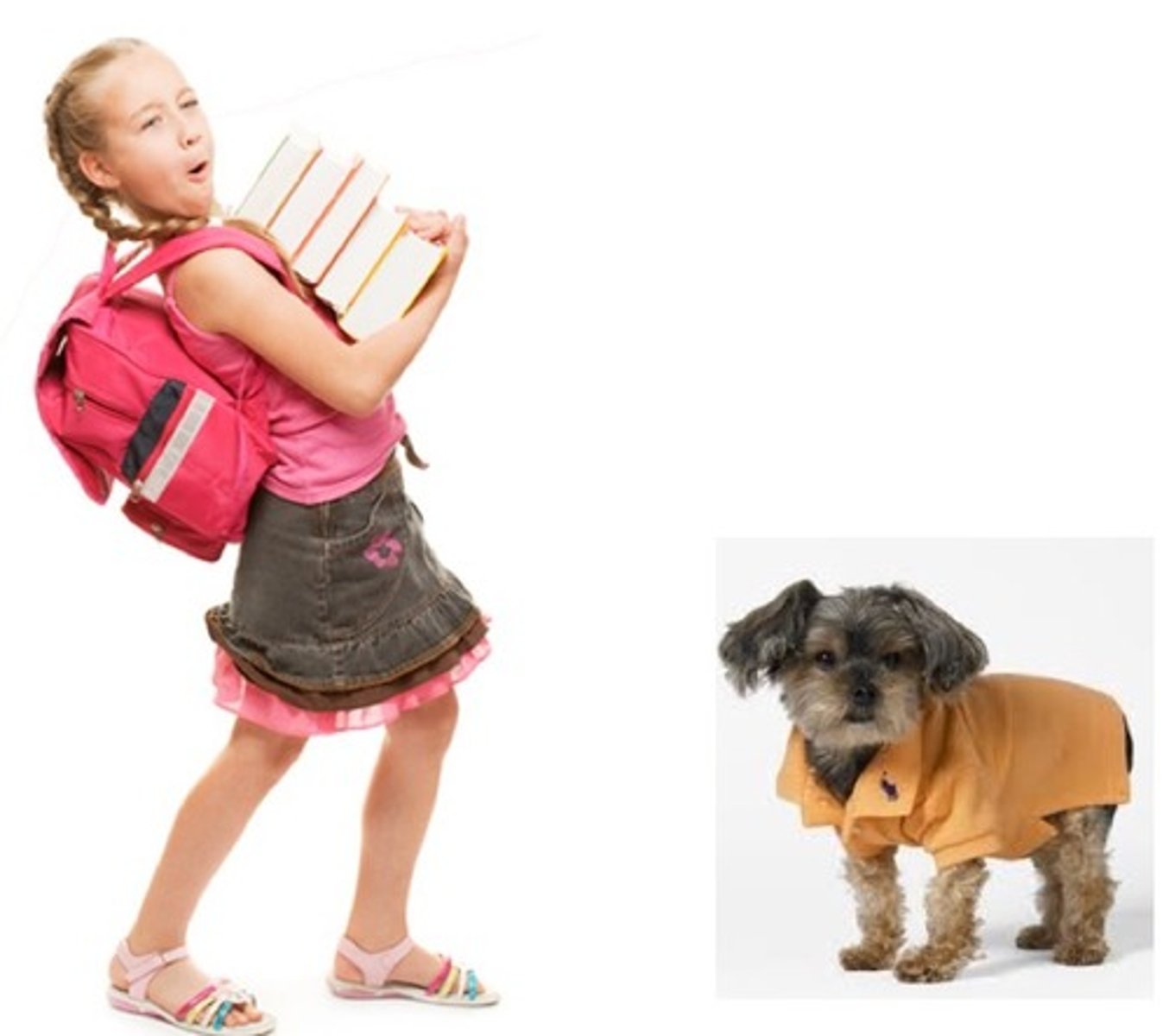 <p>to carry, bring, wear</p>