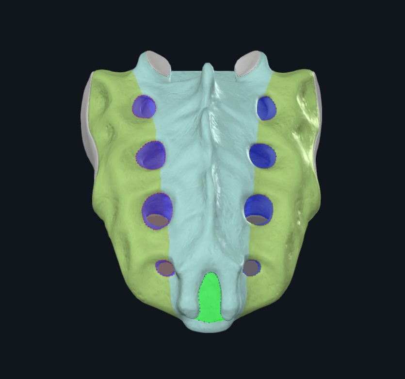 <p>What is highlighted dark blue</p>