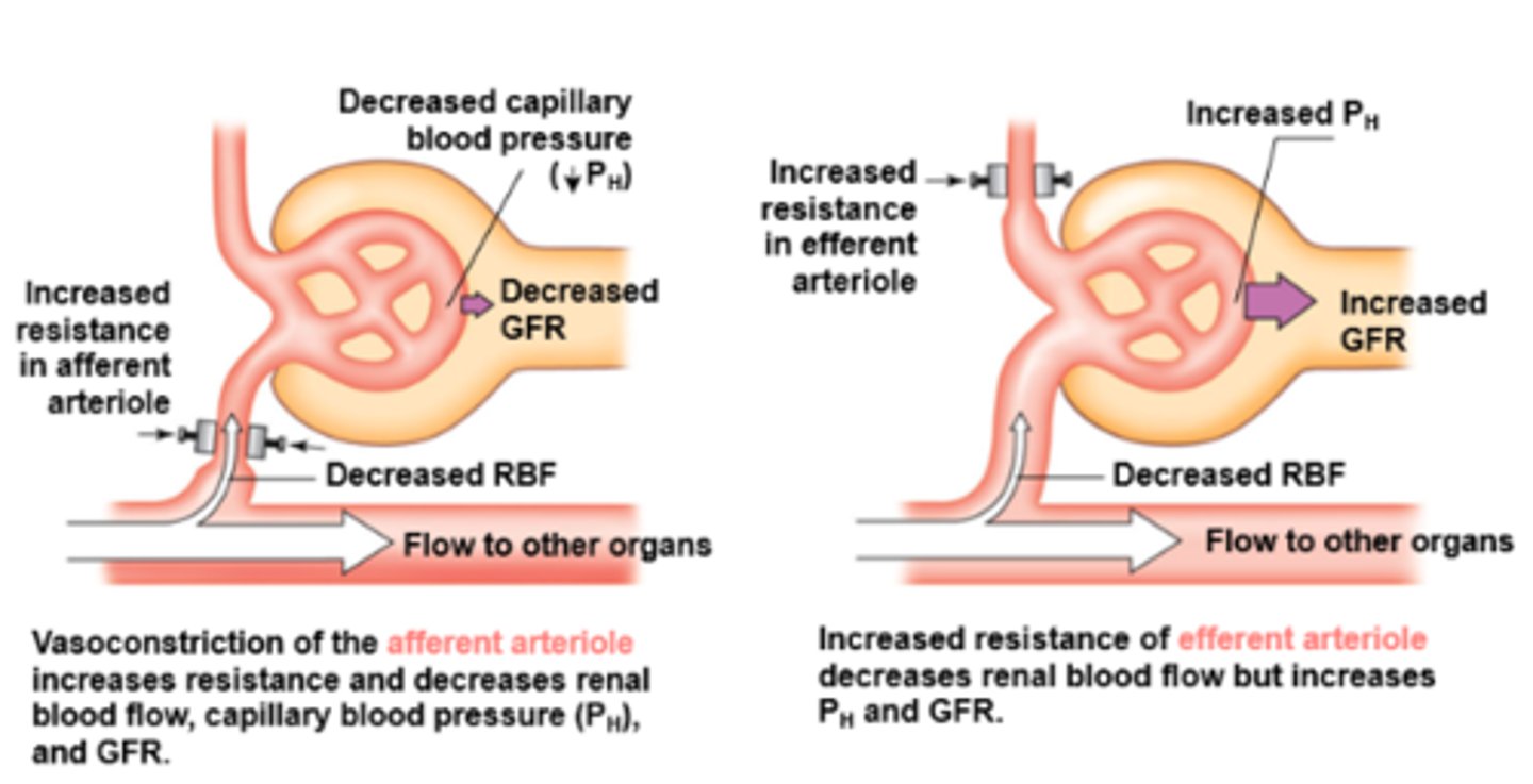 <p>The slowing or blocking of blood flow</p>