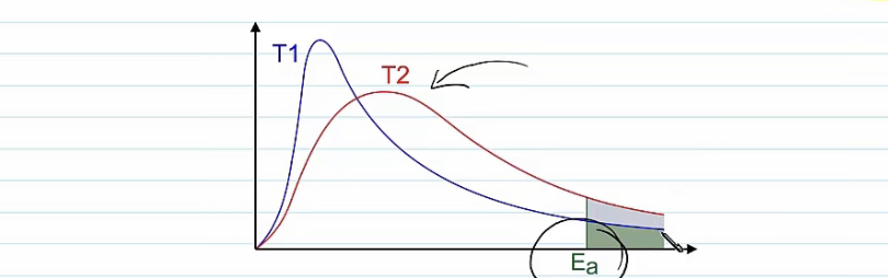 At higher temperature the kinetic energy of the molecules increases 

The peak moves 
To the right 
Lower peak 

The area under the curve remains the same time
The number of Molecules  in the system remain the same .
area under curve beyond activation energy increases