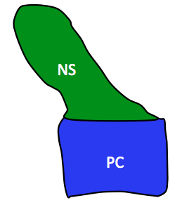 One of the two basic elements of a centra