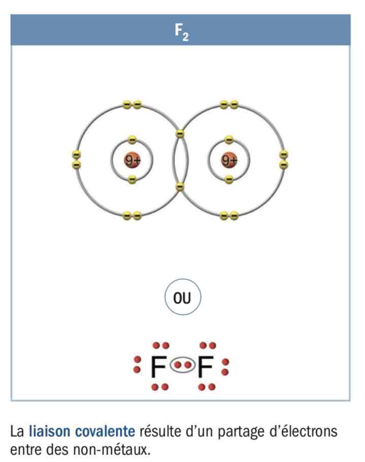<p>2 non metaux</p>