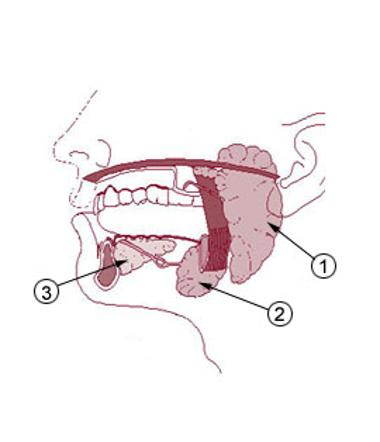 <p>#1</p>