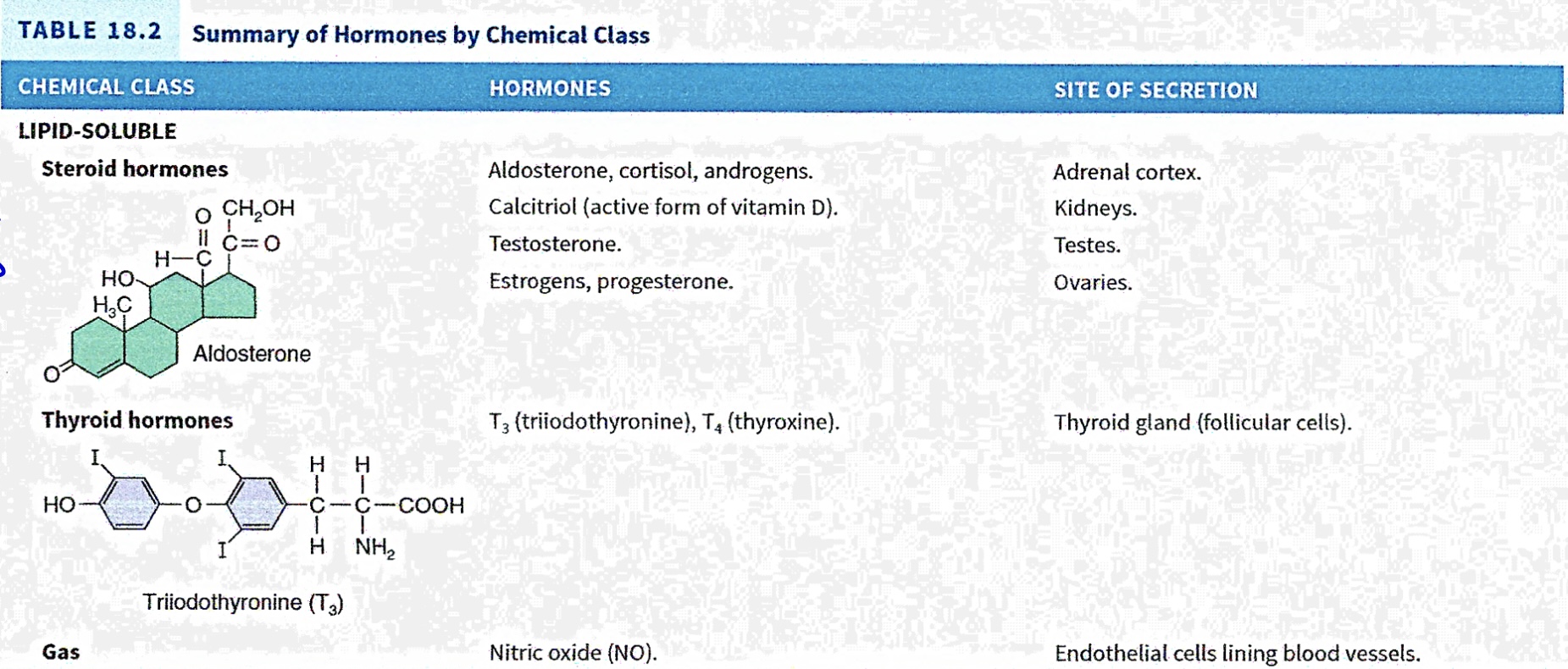 <p>Summary of Hormones by Chemical class&nbsp;</p>