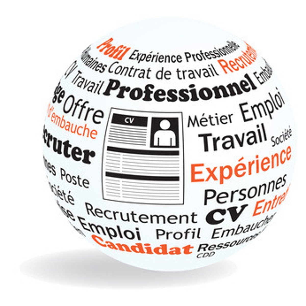 <p>professional experience</p>