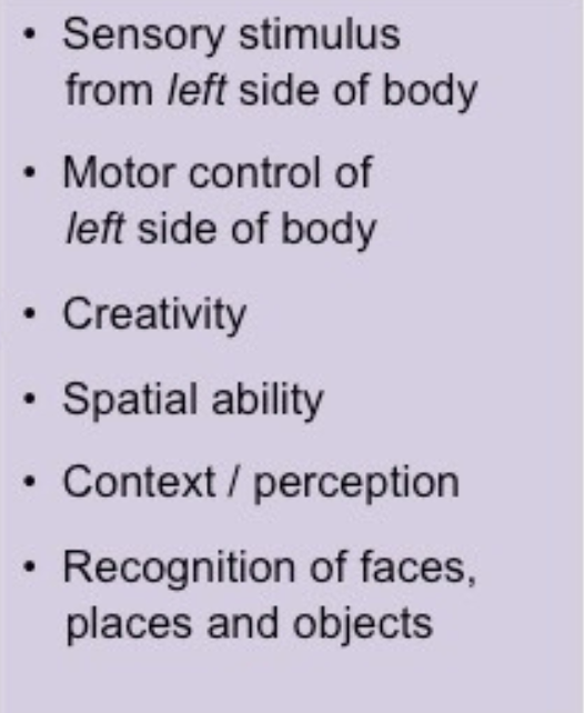 Nonverbal areas
