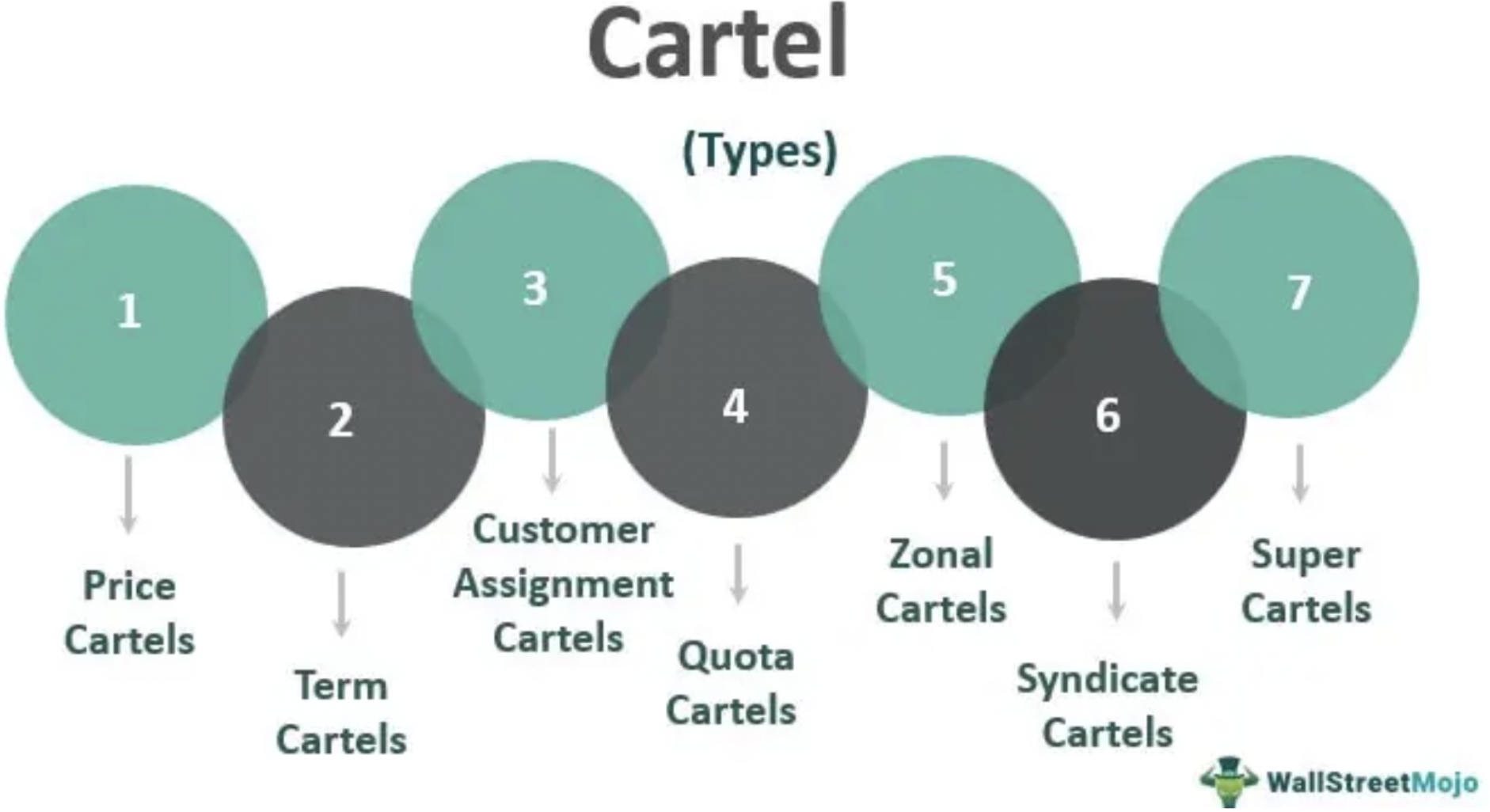 <ol><li><p>price cartels</p></li><li><p>Term cartels: create term agreements to form alliance</p></li><li><p>Customer assignment cartels: each comapny is assigned specific customer demographic</p></li><li><p>Quota cartels: e.g. OPEC, regulate how much each producer can produce</p></li><li><p>Zonal cartels: dividing country into zones so each company only in specific zone</p></li><li><p>Syndicate cartels: Drug cartels: crimes</p></li><li><p>Super cartels: Large cartels</p></li></ol>
