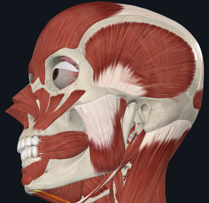 <p>What is highlighted</p>