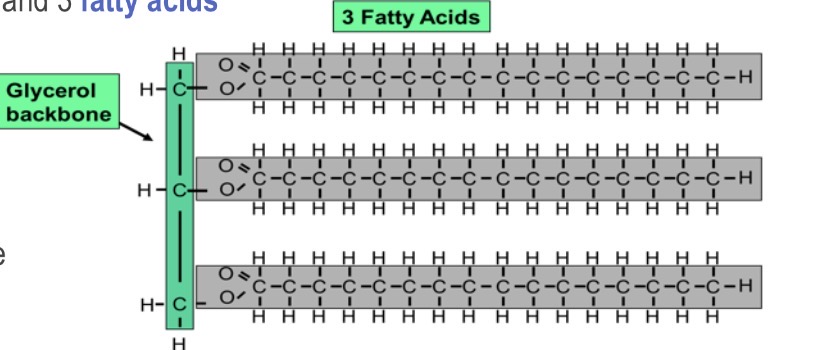 <p>What is this?</p>