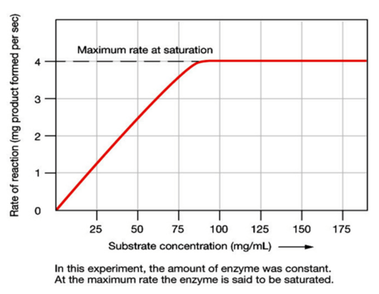 <p>As substrate concentration increases the rate of the chemical reaction will increase until the number of substrate molecules exceeds the number of enzyme active sites at which point the active sites become saturated and the rate of the reaction will level off</p>