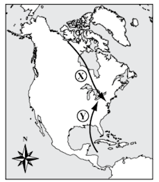Air mass X is a cold air mass. Air mass Y is a warm air mass. When the air masses meet, winter storms may be produced. Which of the following most likely contributes to the formation of these storms?