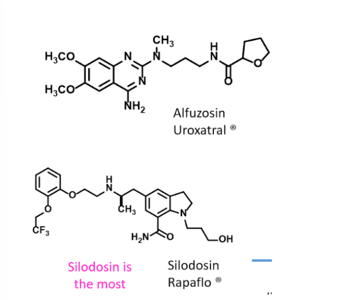 <p>• BPH: Benign prostatic hyperplasia (Enlarged prostate)</p><p>→Alfuzosin (Uroxatral)</p><p>→Silodosin (Rapaflo) - more selective</p><p></p><p>•Treats BPH due to blocking the alpha A1 receptors in the prostate gland</p><p></p><p>•Since they are more selective for a subtype of alpha adrenergic receptors (A1) they are useless for treating hypertension</p>