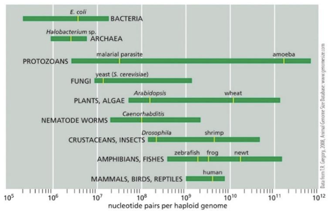 <p>what doe the chart show </p>
