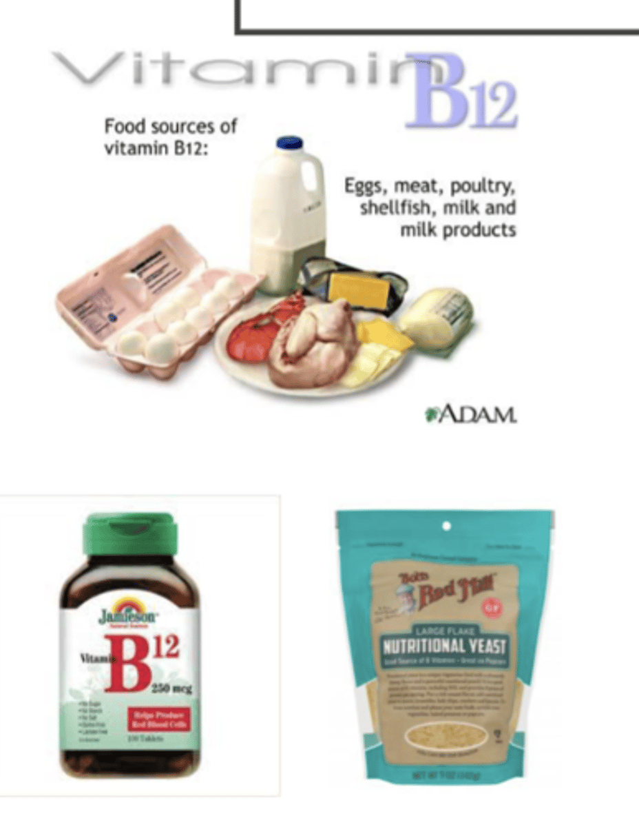 <p>natural B12 found only in animal products</p><ul><li><p>milk and nutritional yeast may be foritifed</p></li></ul><p></p><p>RDA: 2.5µg/d in food</p><p></p>