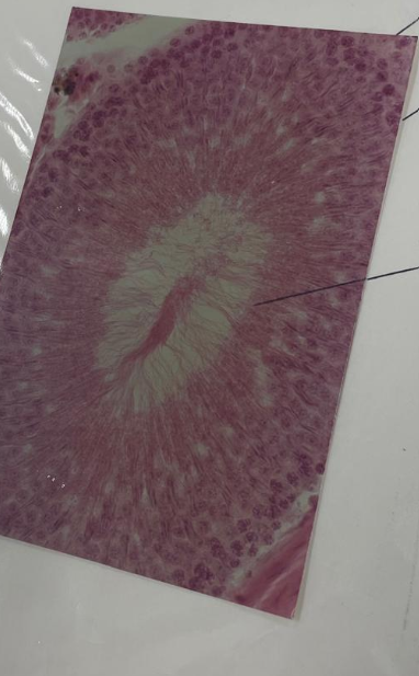 <p>what is this?</p>
