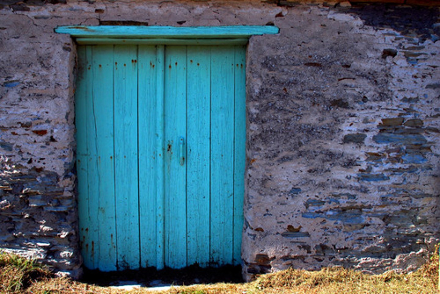 <p>door</p>
