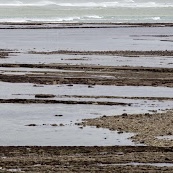 <p>Comment s’appelle la bande de littoral située entre les marées haute et basse ?</p>