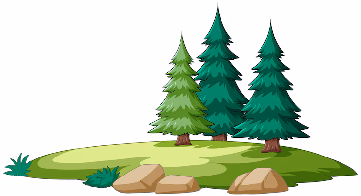 many trees + animals 🐿️🦉