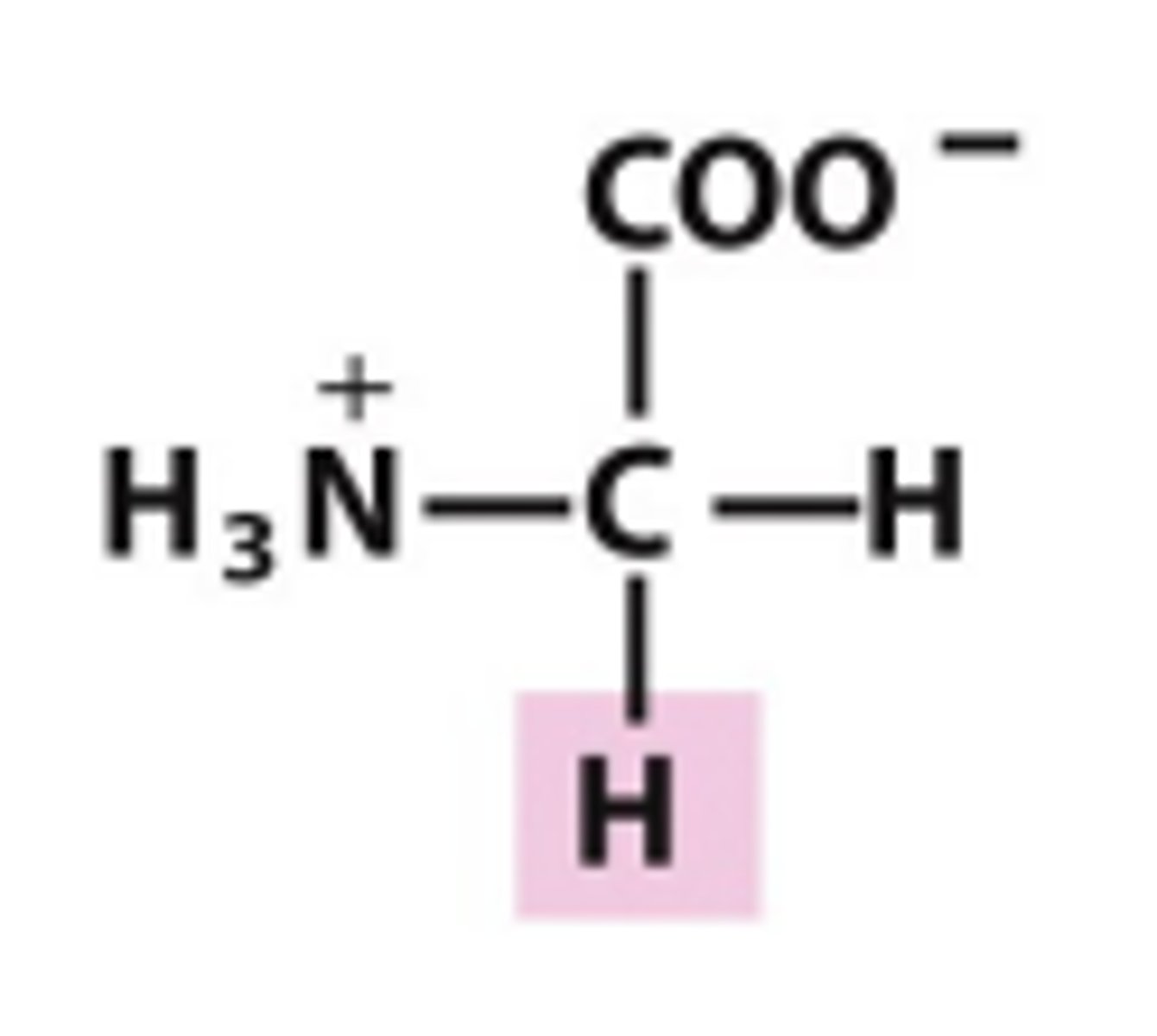 <p>Which amino acid is this?</p>