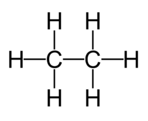 <p><span><strong>Alkanes</strong></span></p>