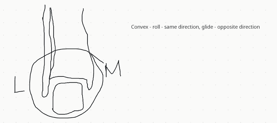 <p>In the <em>Ankle </em>joint, during dorsiflexion of the convex talus on the concave tibia, the roll and glide occur in ________ directions.</p>