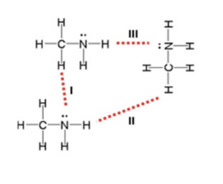 <p>Dashed lines are used in the figure below to represent interactions between three<br>methylamine molecules. Which roman numeral is matched to the representation of hydrogen<br>bonding interactions?<br>A. I<br>B. II<br>C. III<br>D. All of them</p>