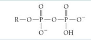<p>What functional group is this?</p>
