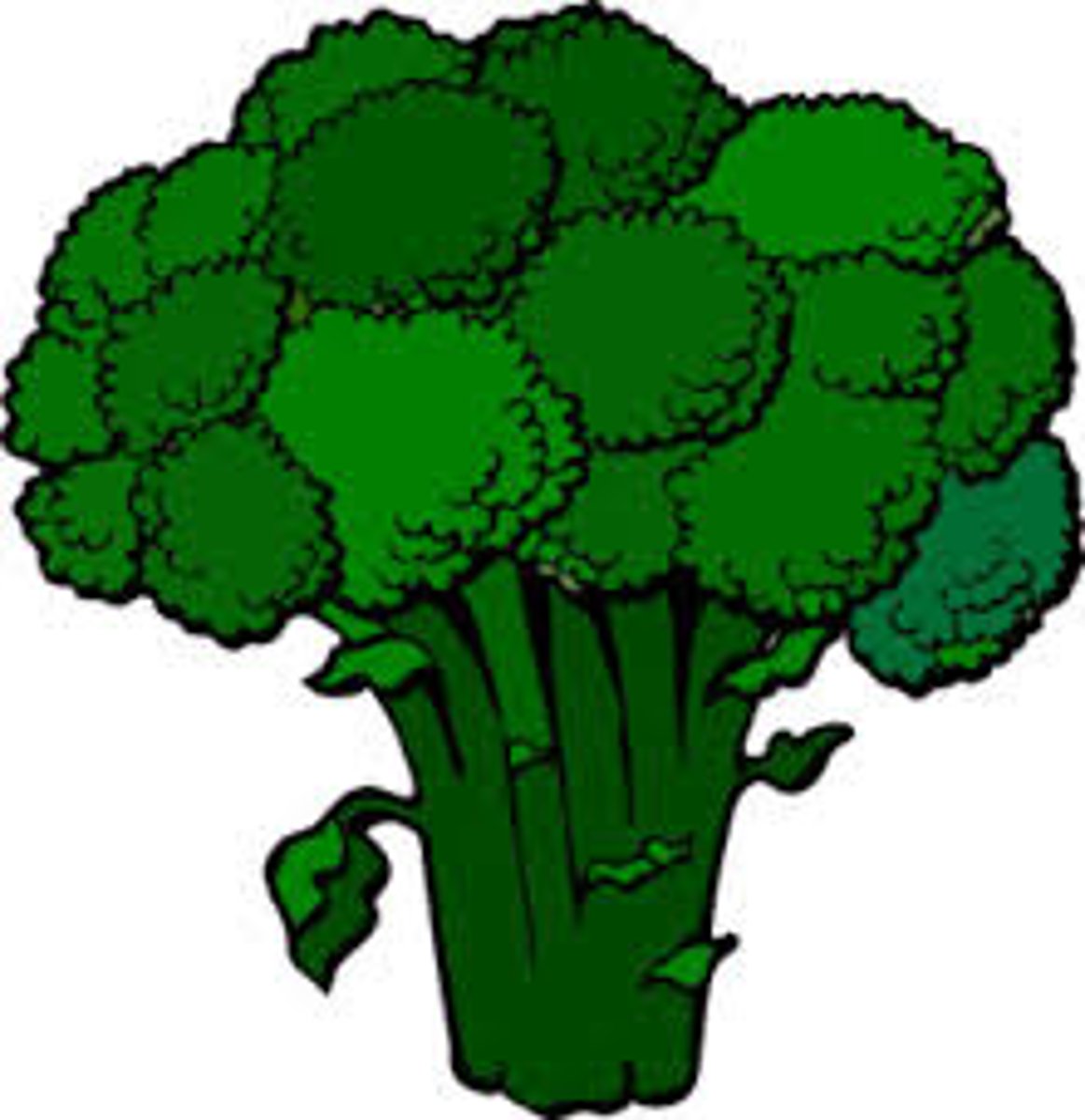 <p>broccoli</p>