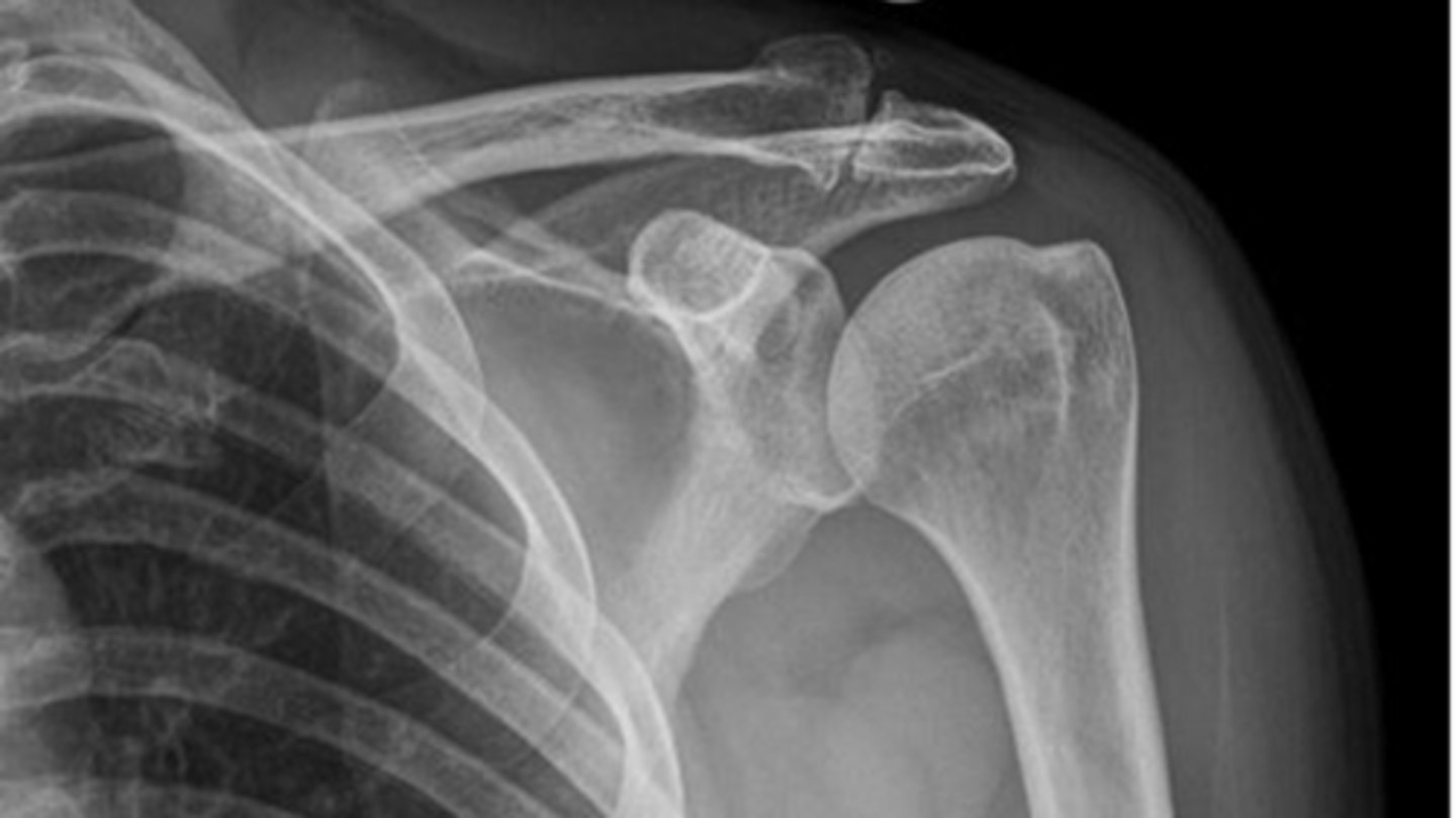 <p>What is this image depicting?</p>