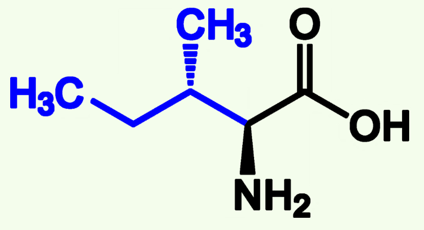 <p>Ile (I)</p><p>Non- Polar</p><p>Alkyl Chains</p>
