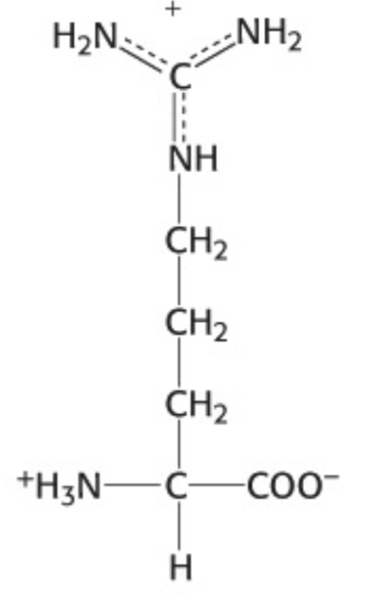<p>Which amino acid is this</p>