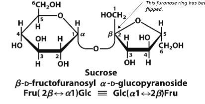 <p>Fructose and Glucose B2-a1</p>