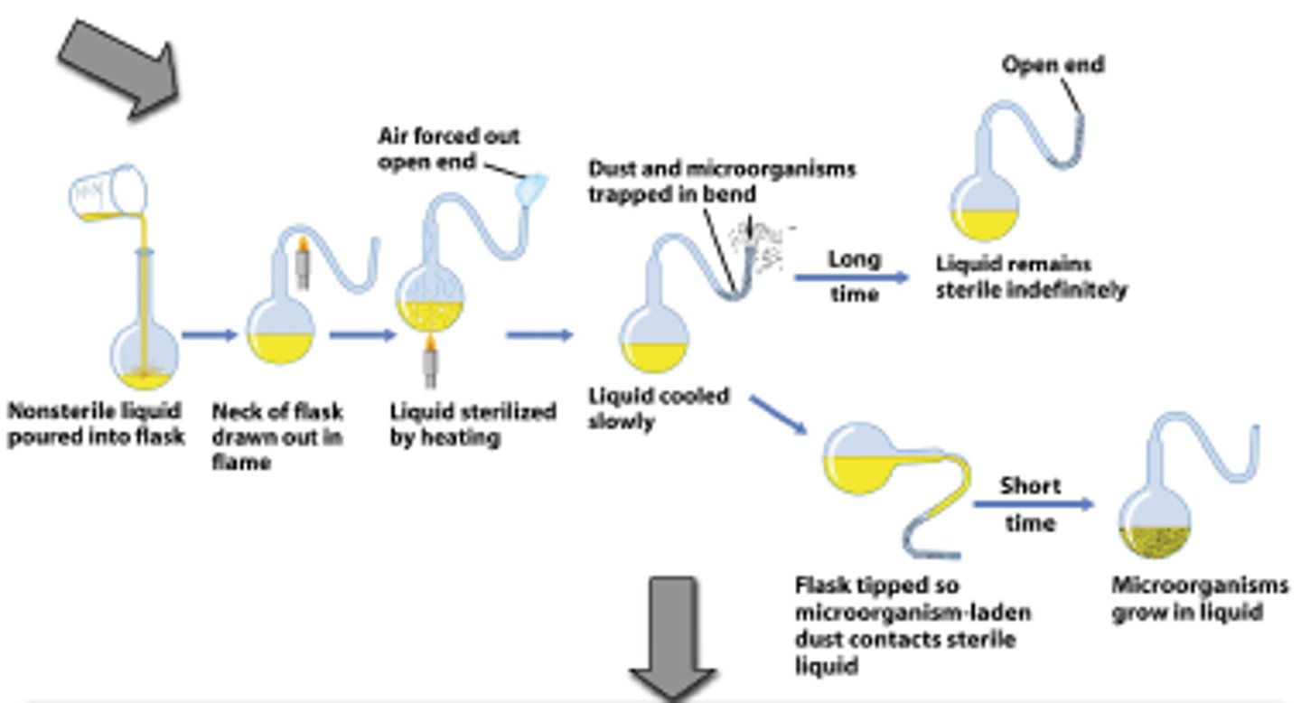 <p>Aim: to see if microbes would spontaneously grow in a sterilised nutrient broth</p><p>Method: one flask exposed to the air; one flask sealed</p><p>Results: microbes grew in the flask exposed to the air; nothing grew in the sealed flask</p><p>Conclusion: determined that generation of microbes could not occur without a source of contamination</p>