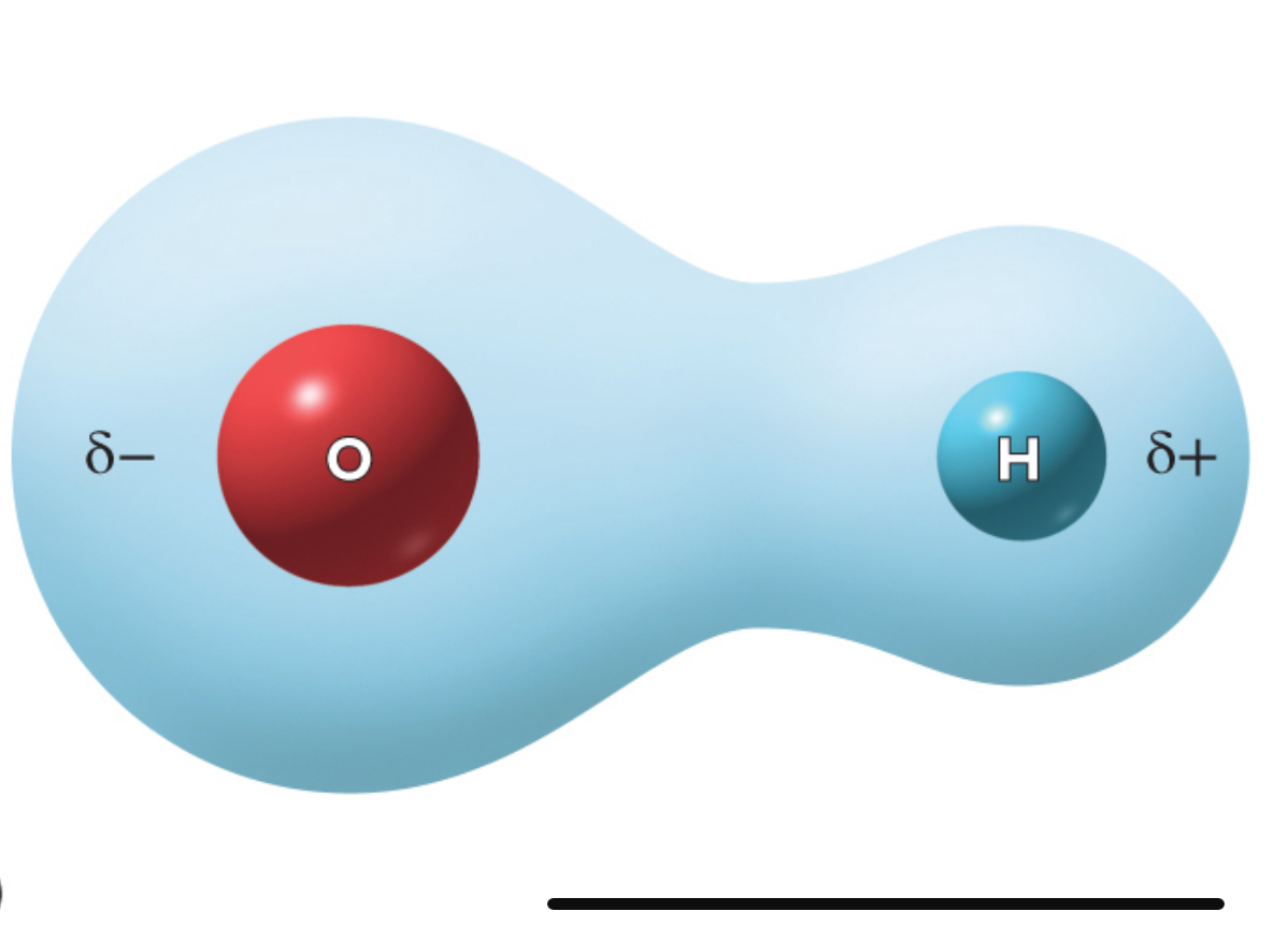 <p>What is this called</p>
