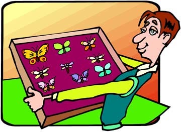 to collect