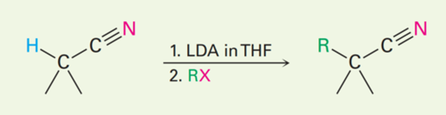 knowt flashcard image
