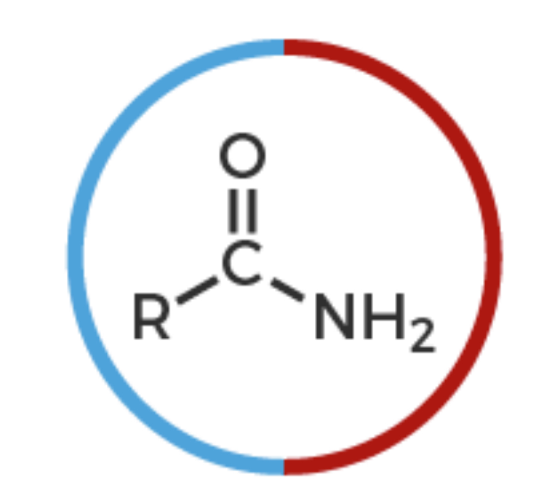 <p>Carbon with double bonded Oxygen and NH2 group</p>