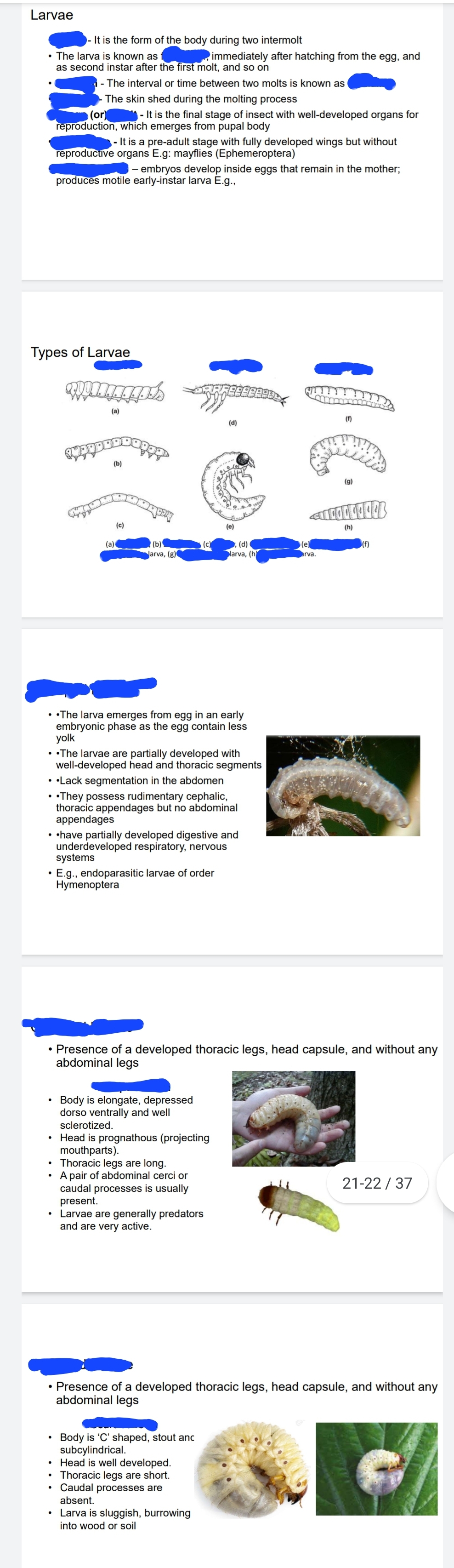 knowt flashcard image