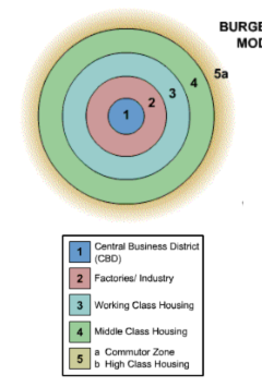 <p>Based on 1920 Chicago development</p><p><strong>Ring 1</strong>: (middle point) Bid rent theory → CBD has the most expensive land and major economic activity</p><p><strong>Ring 2</strong>: (zone of transition) industry and low income appartments</p><p><strong>Ring 3</strong>: also low income housing. High population density and poor living conditions</p><p><strong>Ring 4 &amp; 5</strong>: Lower population density. Cheaper land. Single family homes</p>