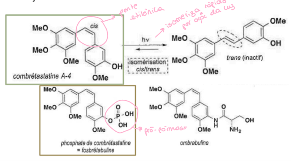 <p>Ação: citotóxica, inibindo a polimerização da tubulina; ação antivascular para tumores, pq provoca apoptose das células endoteliais. O isómero CIS é o ativo.</p><p>Pró-fármaco: ligado a fosfato, + hidrossulúvel (sai por metabolismo)</p>
