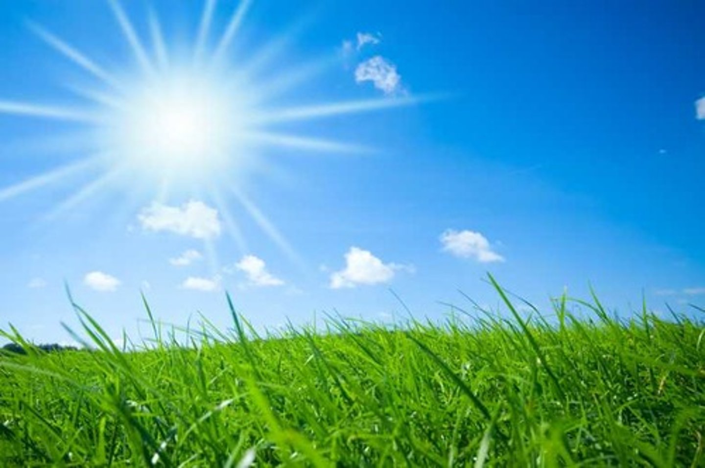 <p>proper environmental</p><p>conditions</p>