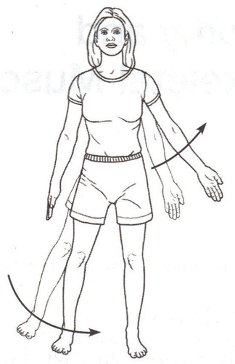 <p>what movements are these</p>