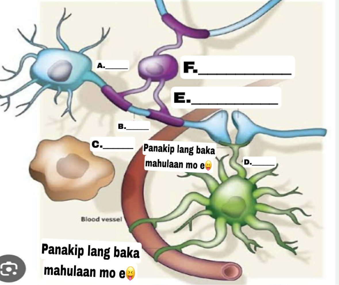 <p>Ano yung A SBAPN</p>