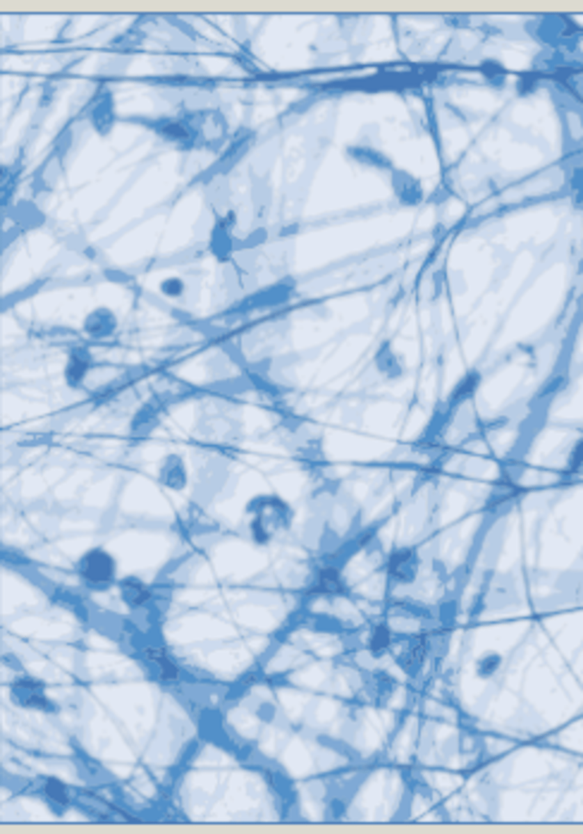<p>Steunweefsel zorgt voor stevigheid en bescherming in het skelet of tussen organen. Er zijn drie typen; bindweefsel, kraakbeenweefsel en botweefsel.</p><p>Botweefsel: Functie: Steun/stevigheid, bescherming, aanhechting Omgeven door bindweefsel</p><p>Kraakbeenweefsel: Stevig en vervormbaar, glad. Functie: Vormgeving, steun, groeikernen bot.</p><p>Bindweefsel: Verbind andere weefsels, sterk + vervormbaar zoals pezen + gewrichtskapsel</p>