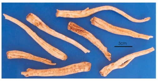 <p>Chữa ho, ho có đờm hơi tanh, viêm họng, khản tiếng, tức ngực, khó thở</p>