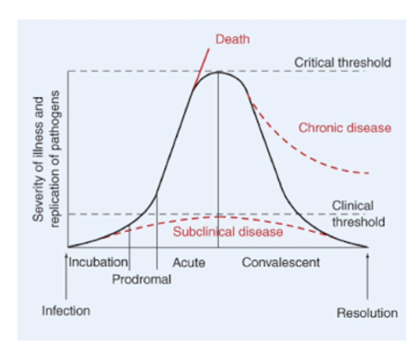 <p>- incubation period: activate replication of a pathogen without recognizable symptoms</p><p>- prodromal stage: initial appearance of symptoms, mild fever, myalgia, headache, and fatigue (somewhat nonspecific)</p><p>- acute stage: maximum impact of the infectious process, inflammation and tissue damage (more specific)</p><p>- convalescent stage: progressive elimination of the pathogen</p><p>- resolution stage: total elimination of a pathogen</p>