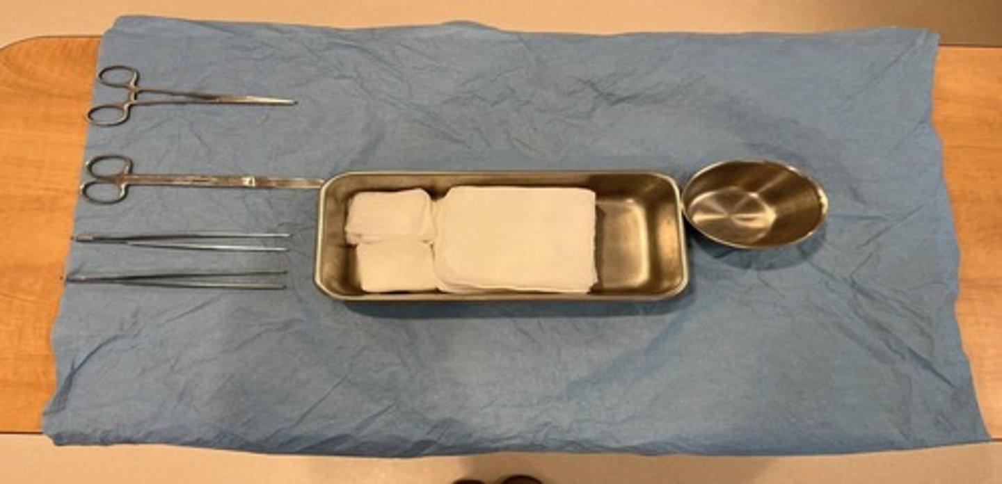 <p>Khay thay băng - chứa dụng cụ khi thay băng. (The nurse prepared the dressing tray - Y tá chuẩn bị khay thay băng.)</p>