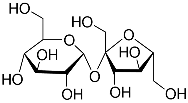 <p>sucrose</p>