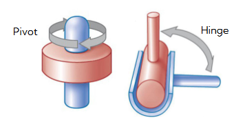 <p>hinge - back and forth</p><p>pivot - rotation around one axis</p><p>very stable, limited movement</p>