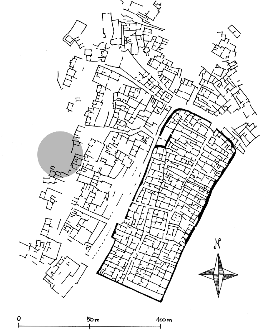 term image